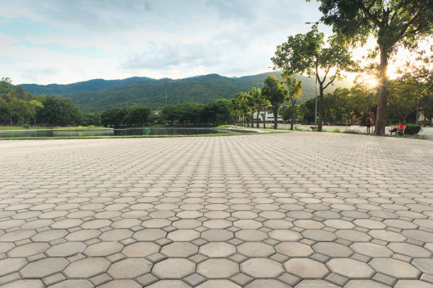 Best Professional Driveway Pavers  in Wimauma, FL